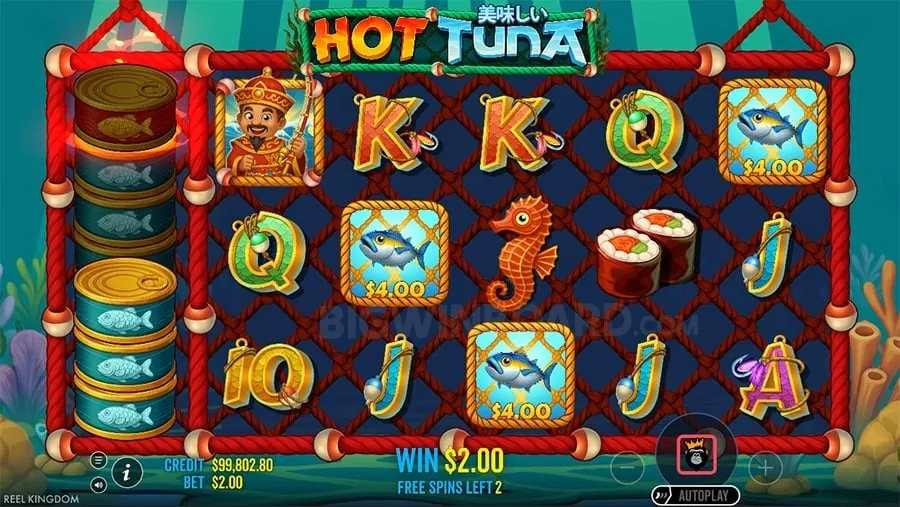8k8 login Avoiding Common Betting Mistakes